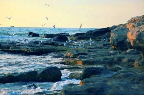 Xəzəryanı ölkələrin XİN başçılarının Moskvada görüşü keçiriləcək