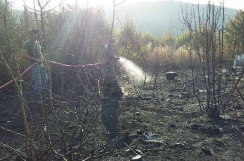 Daşkəsəndəki meşə yanğını söndürüldü