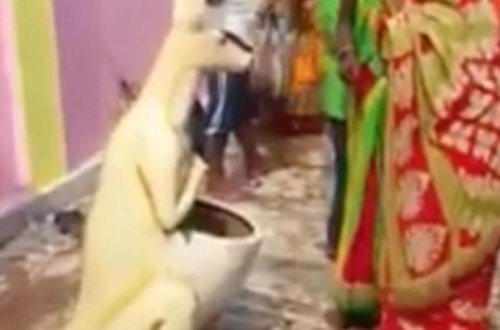 Zibil qabını Allah bilib sitayiş etdilər - VİDEO