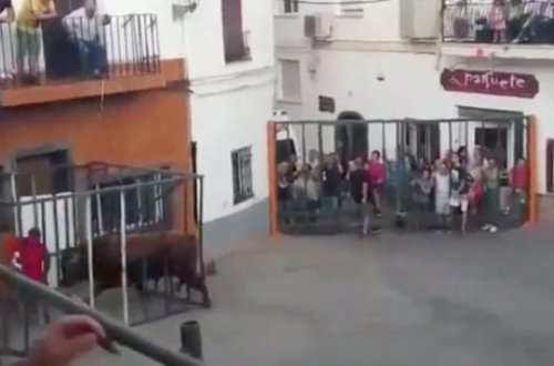 Buğa onu hirsləndirən kişini şil-küt etdi - Video