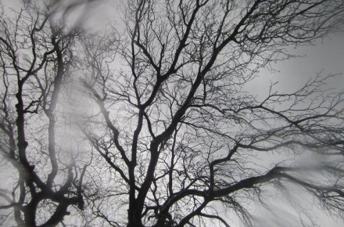 Temperatur 6 dərəcə aşağı enəcək – XƏBƏRDARLIQ