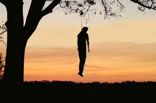 Astarada meşədə ağacdan asılmış cəsəd tapıldı