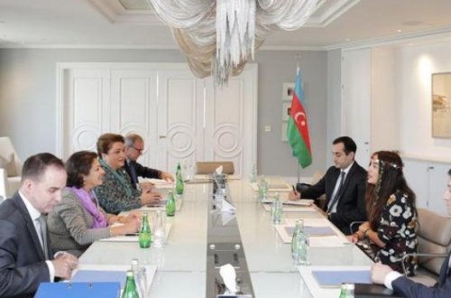 Leyla Əliyeva UNİCEF-in regional direktoru ilə görüşdü