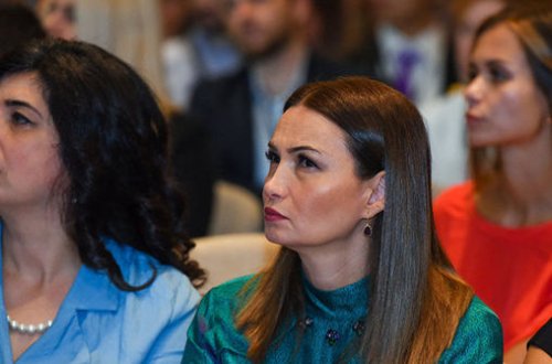 Millət vəkili: Gözdən əlillərin 2 faizi özünə iş tapa bilir