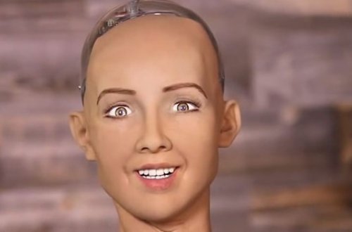 Ailə qurmaq istəyən robort — “Əgər bir qız robortum olsa, ona öz adımı verərəm”