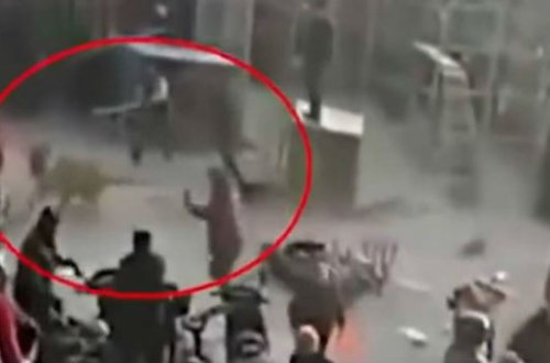 Çində dəhşət — Sirkdə pələng iki nəfəri parçaladı - VİDEO