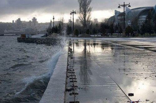 Bulvarda özünü dənizə atdı