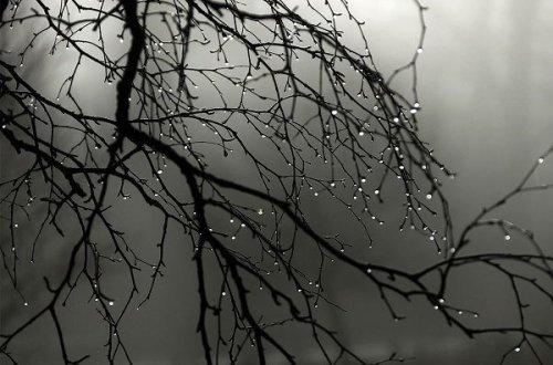 Sabah Bakıda yağış yağacaq – PROQNOZ