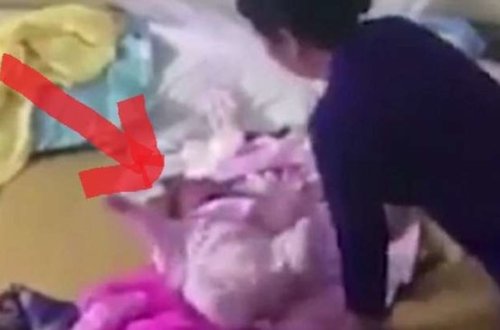 Evə gizli kamera yerləşdirdi - Xanımın o görüntüləri üzə çıxdı - VİDEO