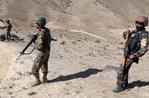 Talibanın üç komandiri öldürüldü