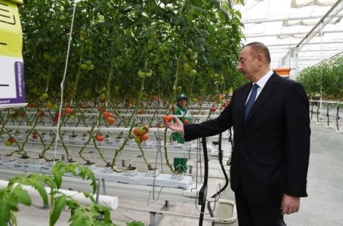 İlham Əliyev Zirə qəsəbəsində “BAKU AGROPARK”da görülən işlərlə tanış olub - YENİLƏNİB