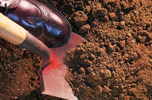 Salyanda amansız qətl: Arvadını və 4 qızını öldürdü