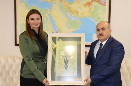 Millət vəkili Düzcə valisi, QHT və KİV-lərlə görüşdə Qarabağdan danışıb və çağırış edib