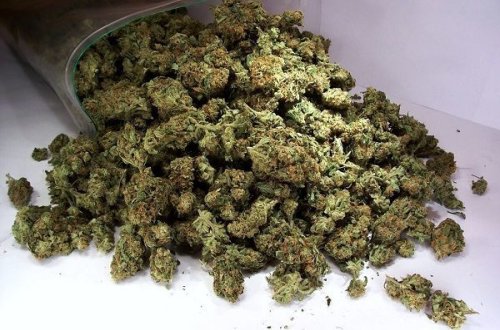 Külli miqdarda narkotik vasitə dövriyyədən çıxarıldı