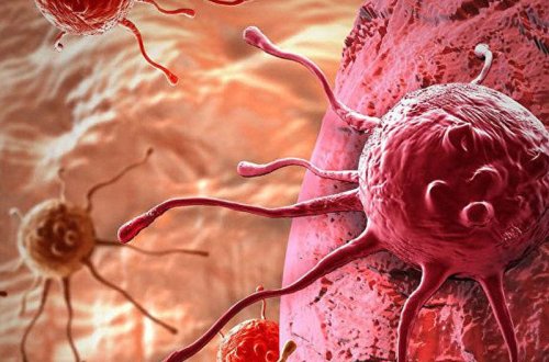 Bəyənməyib atdığımız qidalar xərçəngdən qoruyur - ARAŞDIRMA