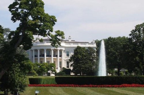 Melaniya Tramp Ağ Evin həyətindəki 200 illik ağacları kəsdirir