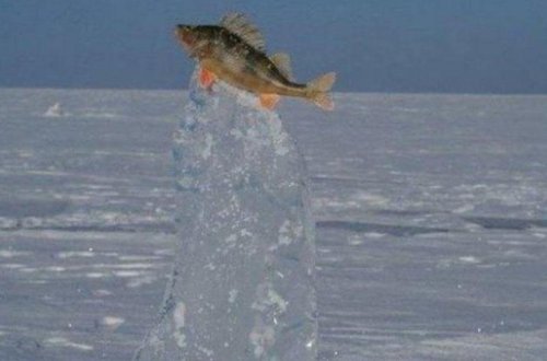 Bu fotolarda hər şey donub