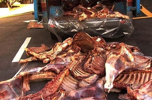 Ağsuda mənşəyi məlum olmayan ət aşkarlanıb