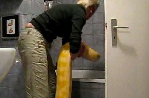 Nəhəng pitonu küçük kimi yudu - VİDEO - FOTO