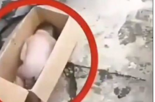 Ananın vicdansızlığı! Dünyaya gətirib suya atdı- VİDEO