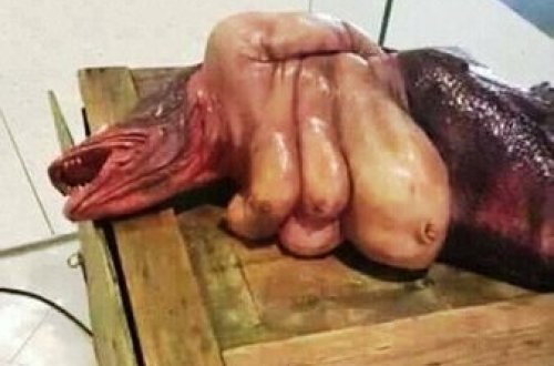 Qeyri-adi su pərisi görənləri şok etdi - Dəhşətli VİDEO