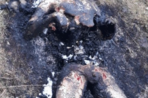 Şabranda yanmış kişi meyiti tapılıb - FOTO