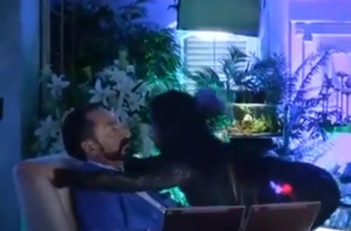 Kedicik bu dəfə ağını çıxartdı - 