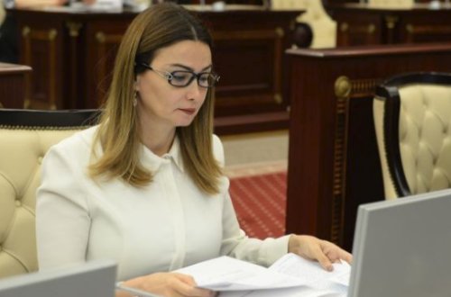 Qənirə Paşayeva: “Şəhidlər Xiyabanında xarici dillərdə heç bir məlumat lövhəsi yoxdur”