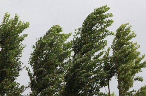 Bakıda güclü külək əsəcək - XƏBƏRDARLIQ