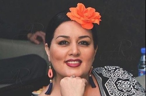 Elza Seyidcahan polisə şikayət etdi