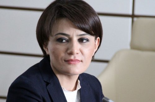 ANASINDAN DEPUTATA ŞOK İTTİHAMLAR! – “Bütün mal-mülkü ələ keçirdi”