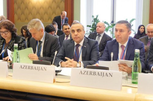 Vyanada ATƏT PA-nın 17-ci qış sessiyası işə başlayıb - FOTO