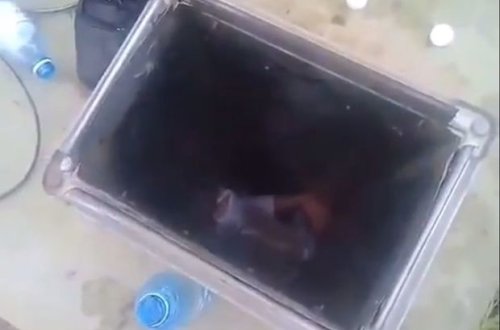 Bakıda kişini öldürmək üçün havalandırma qurğusuna atdılar – VİDEO