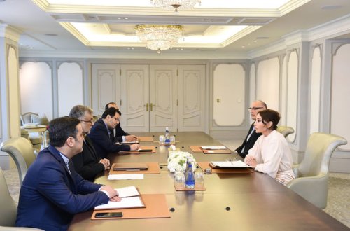 Mehriban Əliyeva Abuzər İbrahimi Türkamanı ilə görüşüb