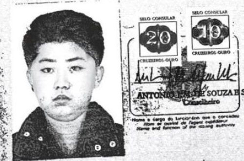 Kim Yonquın simalı braziliyalı: belə pasport necə və nə məqsədlə verilib?