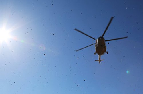 Çeçenistanda helikopter qəzası: Beş ölü