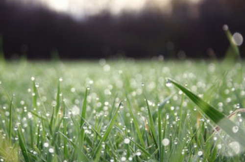 Proqnozlar Bürosu: Martın 15-də havanın temperaturu 4 dərəcəyədək yüksələcək