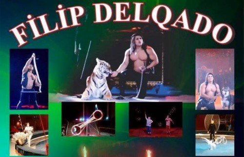 Sirkdə “Baharın 18-ci anı”nı yaşayın - Möhtəşəm şou olacaq/ VİDEO