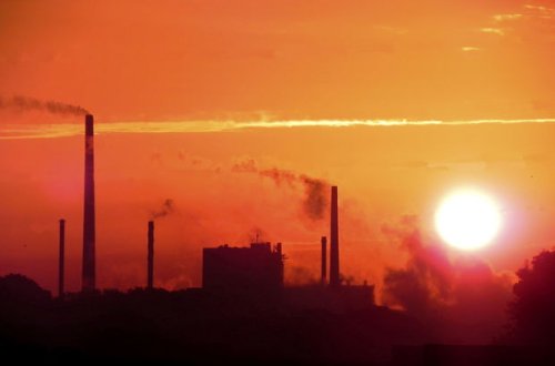 Qorxulu proqnoz: Canlıların yarısı məhv olacaq – VİDEO