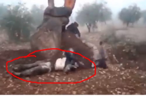 Türklər terrorçu cəsədlərini kranla xəndəyə belə basdırdılar - ŞOK VİDEO