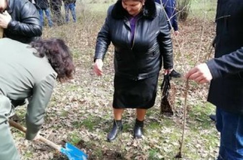 Xaçmazda YAP-ın 25-ci ildönümü ilə bağlı ağacəkmə aksiyası keçirilib
