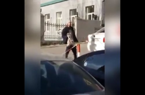 Küçənin ortasında pişiyə təcavüz etdi: Bakıda İLGİNC OLAY - VİDEO