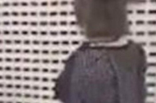 Hava limanına yarıçılpaq gedən qadını VİDEOya çəkdilər