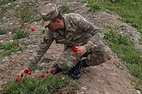 Əsgərlər Lələtəpədə xanım deputat üçün gül dərdi - Fotolar