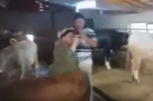 Tövlədə rəqs edən cütlük sosial medianı silkələdi - VİDEO