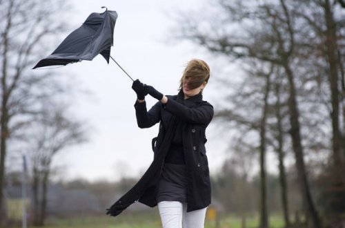 Sinoptiklər güclü külək vəd edirlər