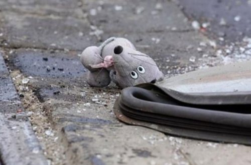 Maşını arxaya sürərkən 4 yaşlı oğlunu öldürdü - Bakıda dəhşət