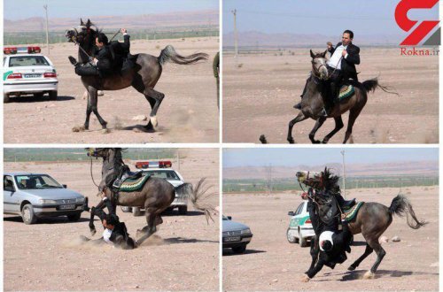 At minmək iranlı deputata baha başa gəldi