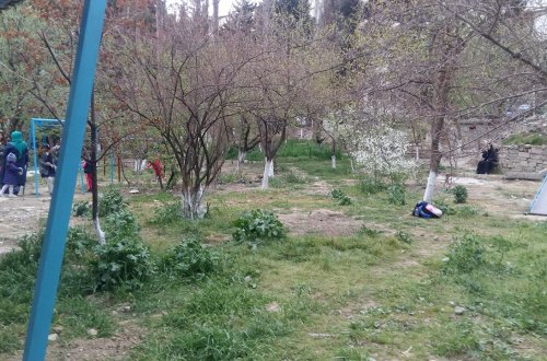 Xətai rayonunda “abadlaşdırılmış” bağdan bərbad mənzərə… Şəhidimizə hörmətsizlik – FOTOLAR