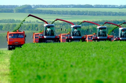 Ölkədə kənd təsərrüfatı sığortası haqqında qanunun qəbulu gözlənilir